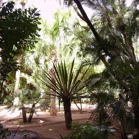 Appart avec vue Jardin/Majorelle Marrakesh Eksteriør bilde